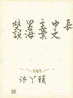 双男主中长篇小说海棠文