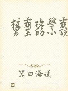 校霸攻学霸受双男主的小说推荐