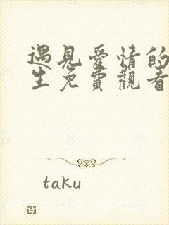 遇见爱情的利先生免费观看电视剧