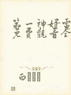 第一神婿电视剧免费观看全集高清