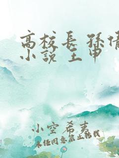 高校长 孙倩 小说 王申