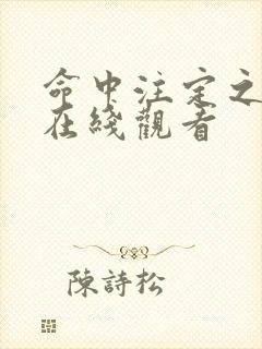 命中注定之人2在线观看