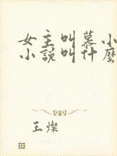 女主叫慕小小的小说叫什么名字