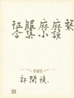 征服麻麻系列大合集小说