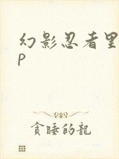 幻影忍者里的cp