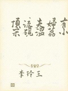 顶流夫妇有点甜宋砚温荔小说