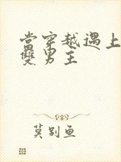 当穿越遇上重生双男主