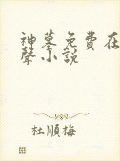 神墓免费在线有声小说