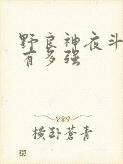 野良神夜斗到底有多强