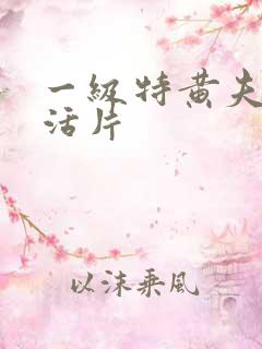 一级特黄夫妻生活片