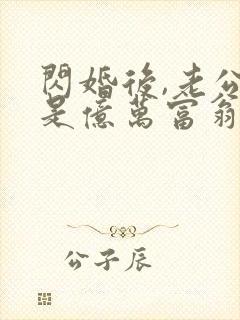 闪婚后,老公竟是亿万富翁txt