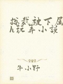 总裁被下属调教h玩弄小说