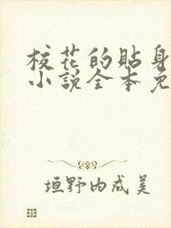 校花的贴身高手小说全本免费下载