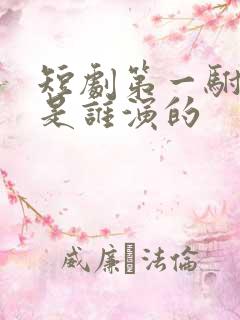 短剧第一驸马爷是谁演的