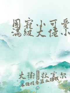 团宠小可爱成了满级大佬小说txt