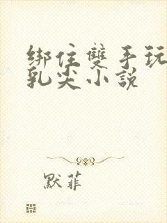 绑住双手玩弄她乳尖小说