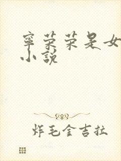 宁荣荣是女主的小说