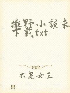 撒野小说未删版下载txt
