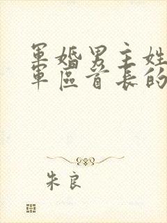 军婚男主姓陆是军区首长的小说