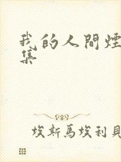 我的人间烟火9集