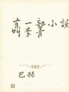 有一部小说男主叫李青