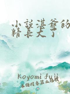 小说湛爷的小妖精长大了