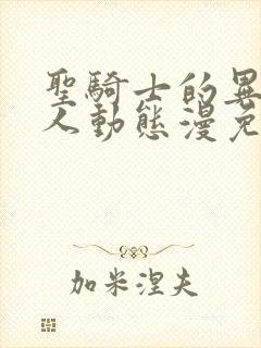 圣骑士的异世恋人动态漫免费在线热播