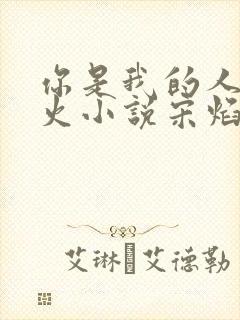 你是我的人间烟火小说宋焰