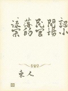 流落民间认祖归宗的官场小说