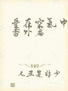 爱在空气中泰剧番外篇