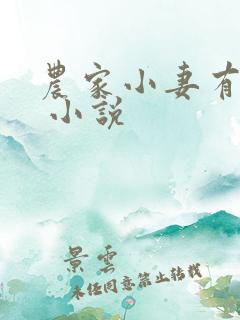 农家小妻有点甜 小说
