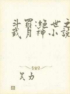 斗罗:绝世之玄武月神小说txt阅读