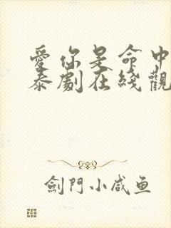 爱你是命中注定泰剧在线观看