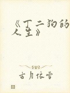 《丁二狗的逆袭人生》