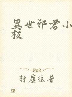 异世邪君小说精校