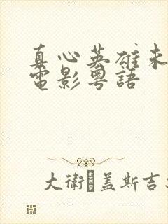 真心英雄未删减电影粤语