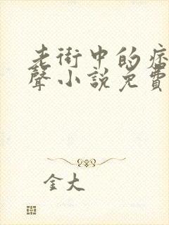 老街中的痞子有声小说免费听