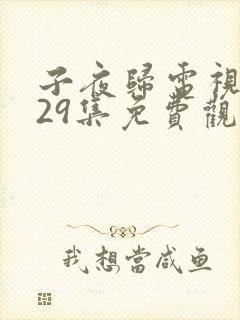 子夜归电视剧第29集免费观看