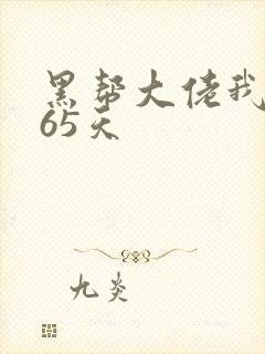 黑帮大佬我的365天