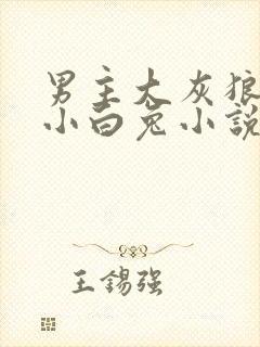 男主大灰狼女主小白兔小说