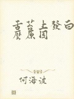 舌苔上发白是什么原因