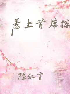 惹上首席总裁21