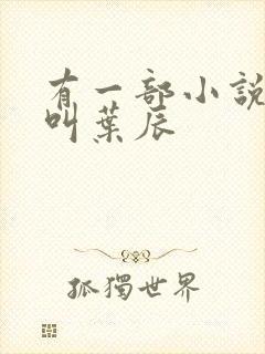 有一部小说主角叫叶辰