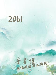 20bl