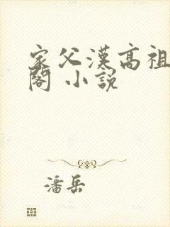 家父汉高祖笔趣阁 小说