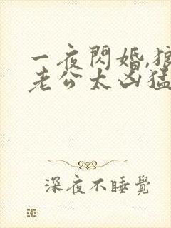 一夜闪婚,狼性老公太凶猛结局