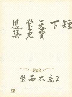 凤掌天下短剧全集免费