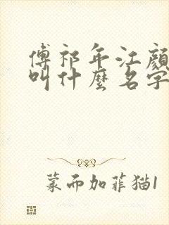 傅祁年江颜小说叫什么名字