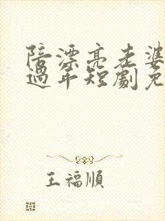 陪漂亮老婆回家过年短剧免费观看