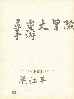 寻灵大冒险安卓手游